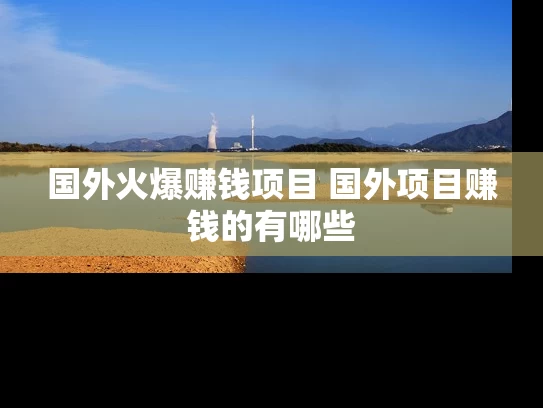 国外火爆赚钱项目 国外项目赚钱的有哪些