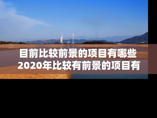 目前比较前景的项目有哪些 2020年比较有前景的项目有哪些