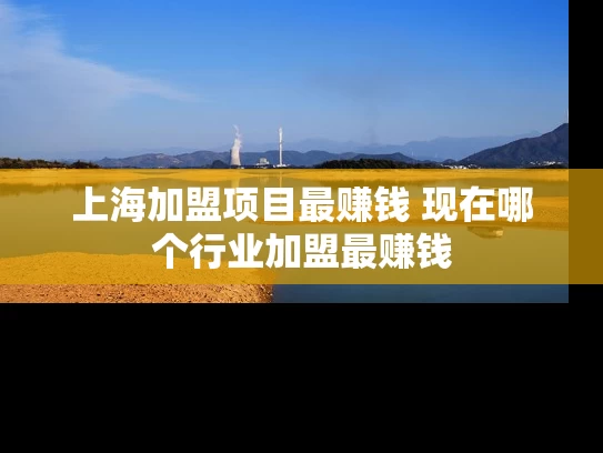 上海加盟项目最赚钱 现在哪个行业加盟最赚钱