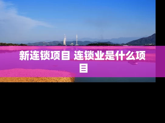 新连锁项目 连锁业是什么项目