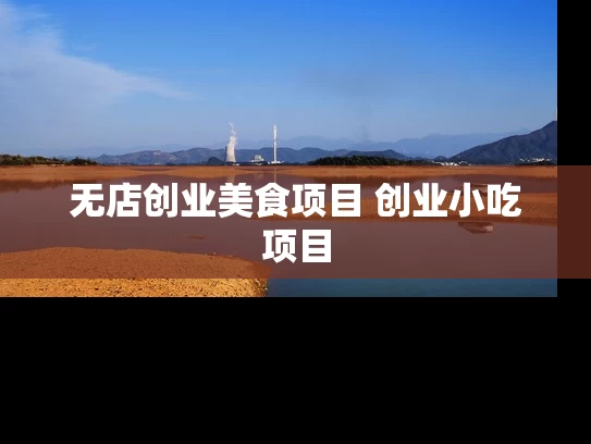 无店创业美食项目 创业小吃项目