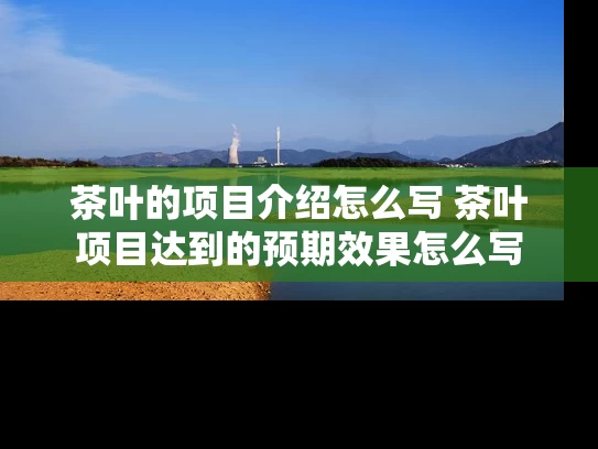 茶叶的项目介绍怎么写 茶叶项目达到的预期效果怎么写