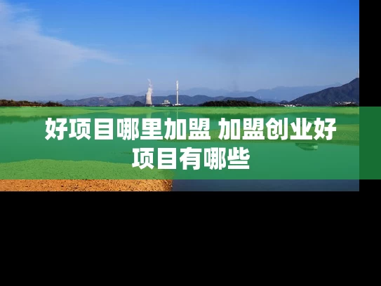 好项目哪里加盟 加盟创业好项目有哪些