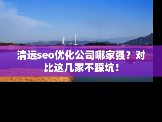清远seo优化公司哪家强?对比这几家不踩坑! 清远seo优化公司哪家强?对比这几家不踩坑!