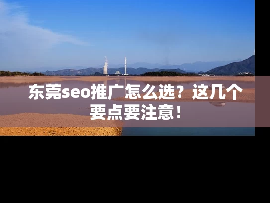 东莞seo推广怎么选？这几个要点要注意！
