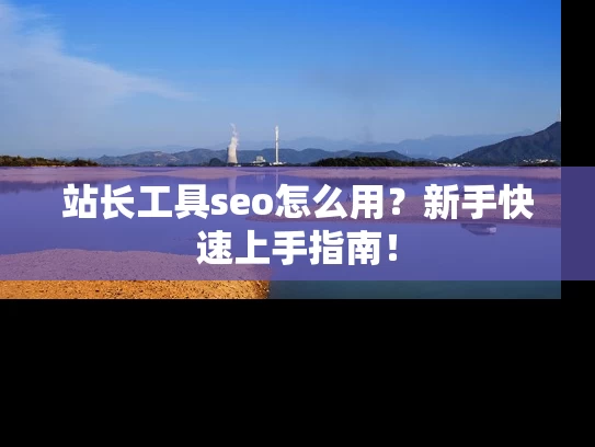 站长工具seo怎么用？新手快速上手指南！