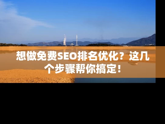 想做免费SEO排名优化？这几个步骤帮你搞定！