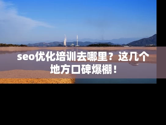 seo优化培训去哪里？这几个地方口碑爆棚！