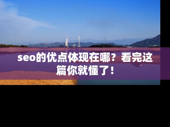seo的优点体现在哪？看完这篇你就懂了！