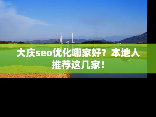 大庆seo优化哪家好？本地人推荐这几家！