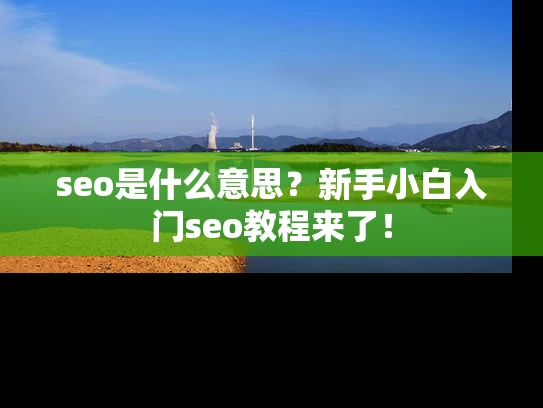 seo是什么意思?新手小白入门seo教程来了! seo是什么意思?新手小白入门seo教程来了!