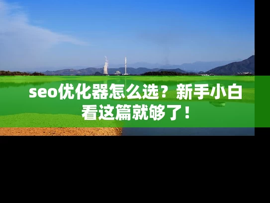 seo优化器怎么选？新手小白看这篇就够了！