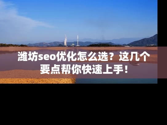 潍坊seo优化怎么选？这几个要点帮你快速上手！