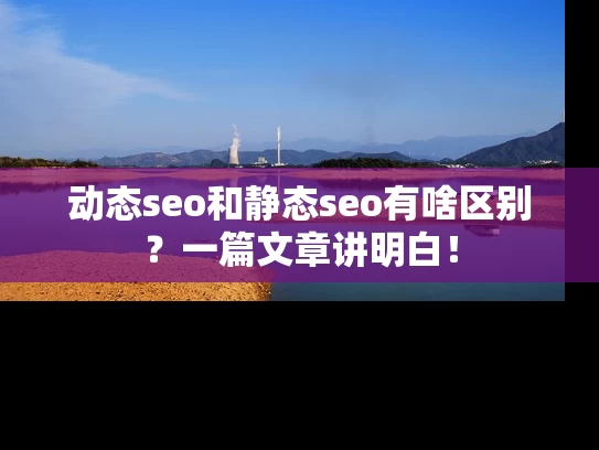 动态seo和静态seo有啥区别?一篇文章讲明白! 动态seo和静态seo有啥区别?一篇文章讲明白!
