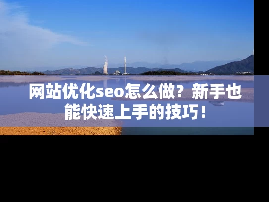 网站优化seo怎么做？新手也能快速上手的技巧！