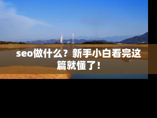 seo做什么？新手小白看完这篇就懂了！