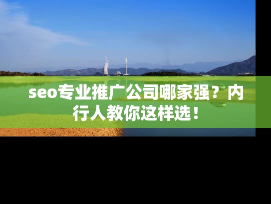seo专业推广公司哪家强？内行人教你这样选！