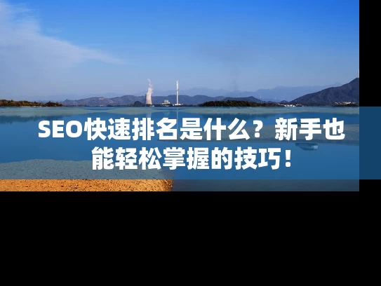 SEO快速排名是什么?新手也能轻松掌握的技巧! SEO快速排名是什么?新手也能轻松掌握的技巧!