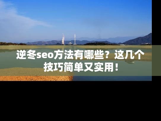 逆冬seo方法有哪些？这几个技巧简单又实用！