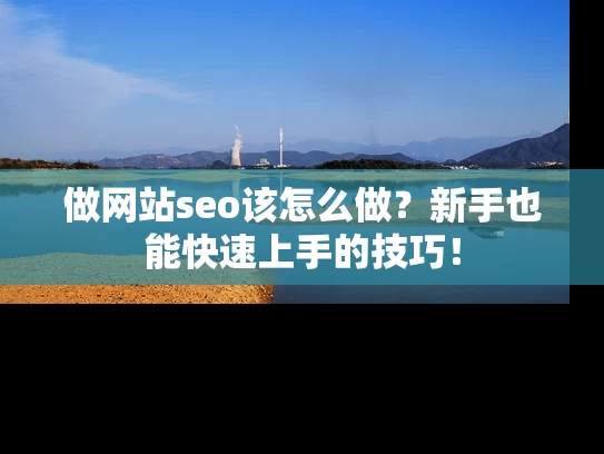 做网站seo该怎么做？新手也能快速上手的技巧！