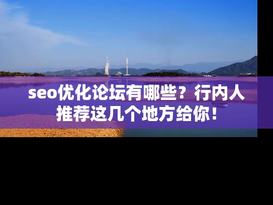 seo优化论坛有哪些？行内人推荐这几个地方给你！