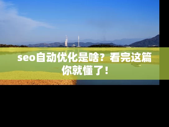 seo自动优化是啥？看完这篇你就懂了！