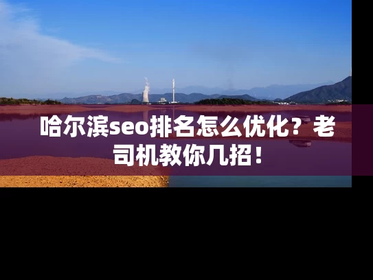 哈尔滨seo排名怎么优化？老司机教你几招！