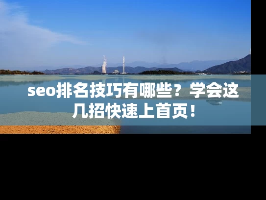 seo排名技巧有哪些？学会这几招快速上首页！