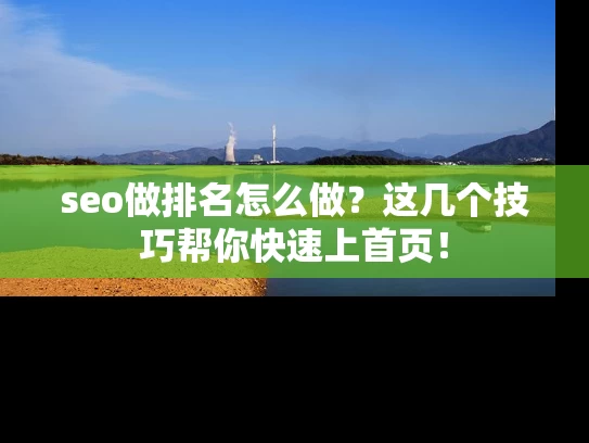 seo做排名怎么做？这几个技巧帮你快速上首页！