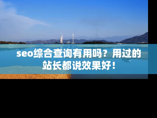 seo综合查询有用吗？用过的站长都说效果好！