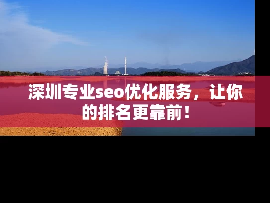 深圳专业seo优化服务，让你的排名更靠前！