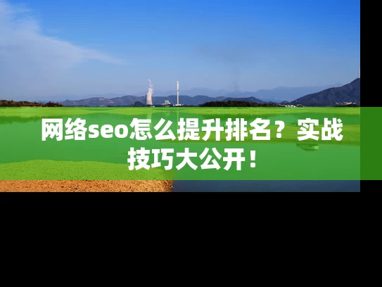网络seo怎么提升排名？实战技巧大公开！