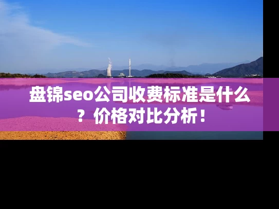 盘锦seo公司收费标准是什么？价格对比分析！