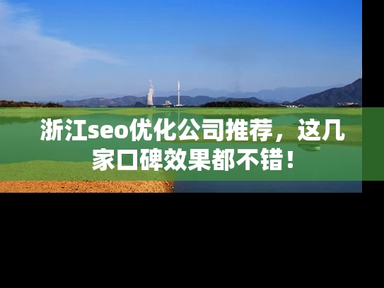 浙江seo优化公司推荐，这几家口碑效果都不错！