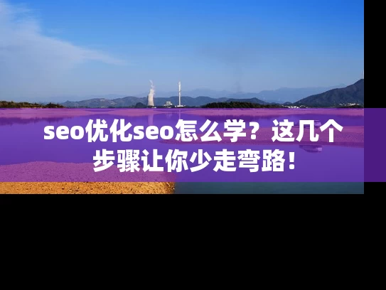 seo优化seo怎么学？这几个步骤让你少走弯路！