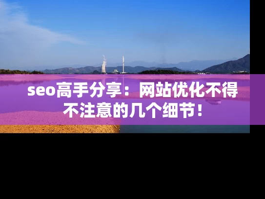seo高手分享：网站优化不得不注意的几个细节！