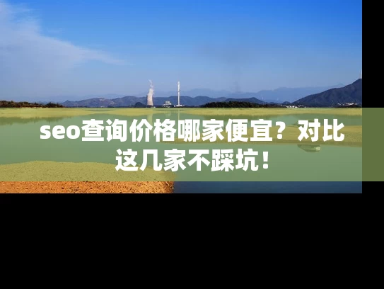 seo查询价格哪家便宜？对比这几家不踩坑！