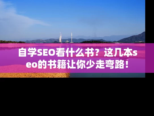 自学SEO看什么书？这几本seo的书籍让你少走弯路！