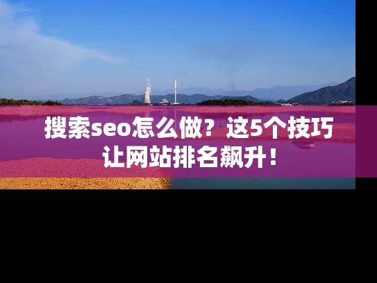搜索seo怎么做？这5个技巧让网站排名飙升！