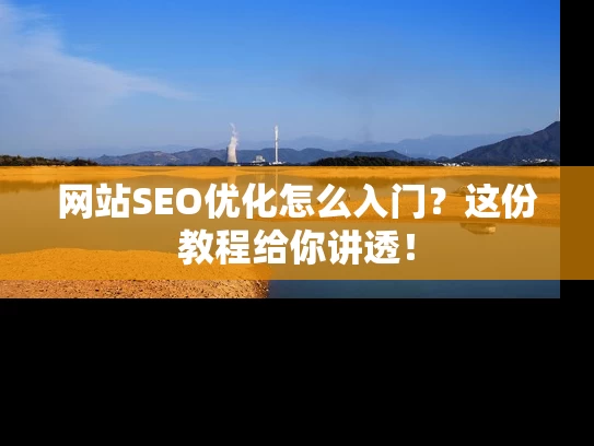 网站SEO优化怎么入门？这份教程给你讲透！