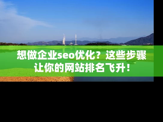 想做企业seo优化？这些步骤让你的网站排名飞升！