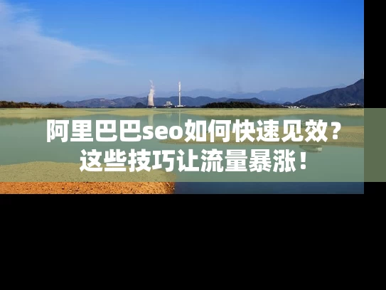 阿里巴巴seo如何快速见效？这些技巧让流量暴涨！
