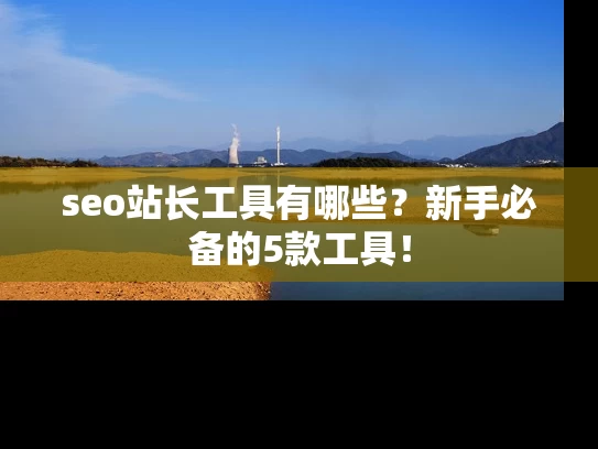 seo站长工具有哪些？新手必备的5款工具！