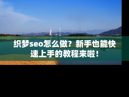 织梦seo怎么做？新手也能快速上手的教程来啦！