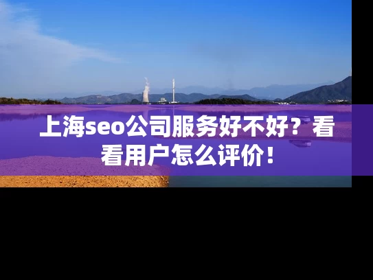 上海seo公司服务好不好？看看用户怎么评价！