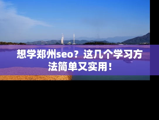 想学郑州seo？这几个学习方法简单又实用！
