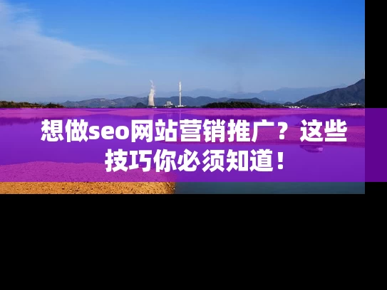 想做seo网站营销推广？这些技巧你必须知道！