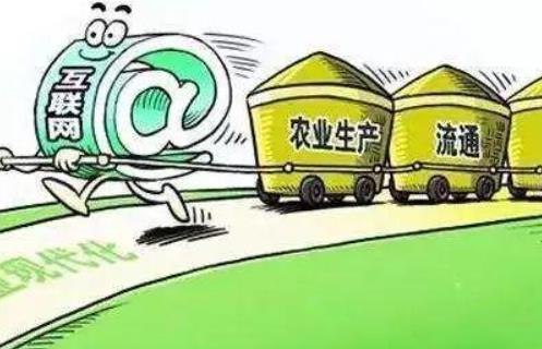 互联网农业创业项目书(创新项目创业大赛互联网计划书)