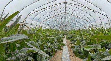 一本万利的创业项目(2022年赚钱的创业项目 2022年创业什么项目好)