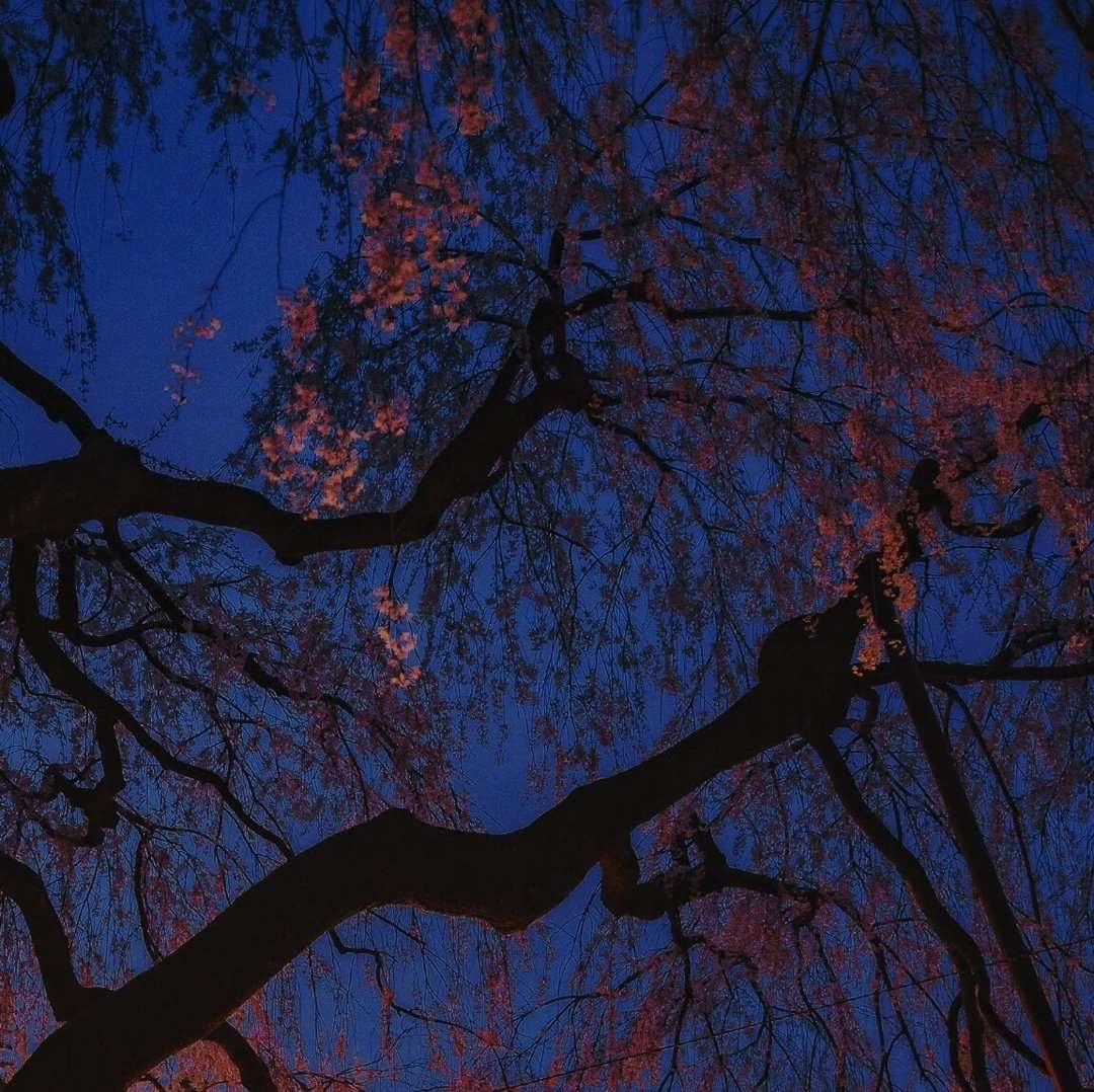 适合学生的创业项目(大学生可以选择什么创业项目？)